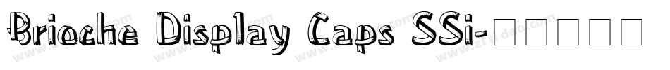 Brioche Display Caps SSi字体转换